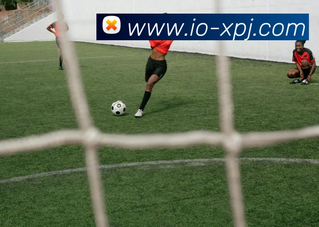 新葡京娱乐平台生态图